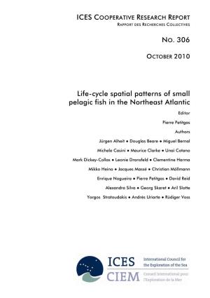 NO. 306 Life-Cycle Spatial Patterns of Small Pelagic Fish in the Northeast Atlantic