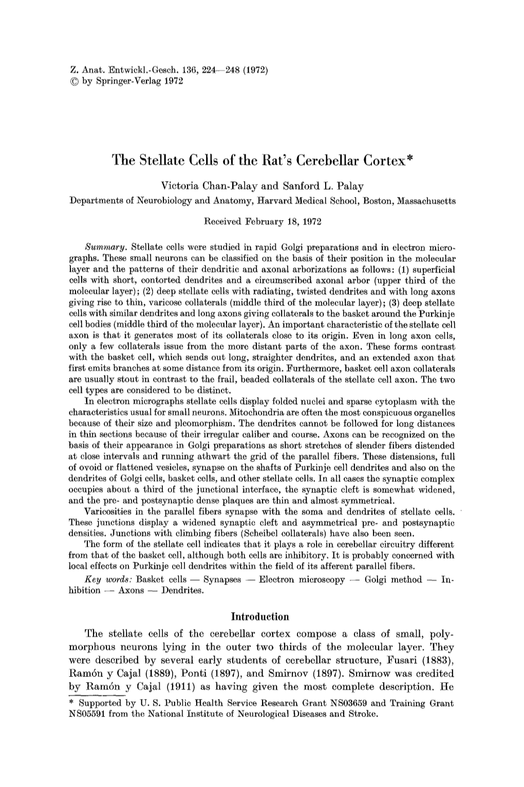 The Stellate Cells of the Rat's Cerebellar Cortex*