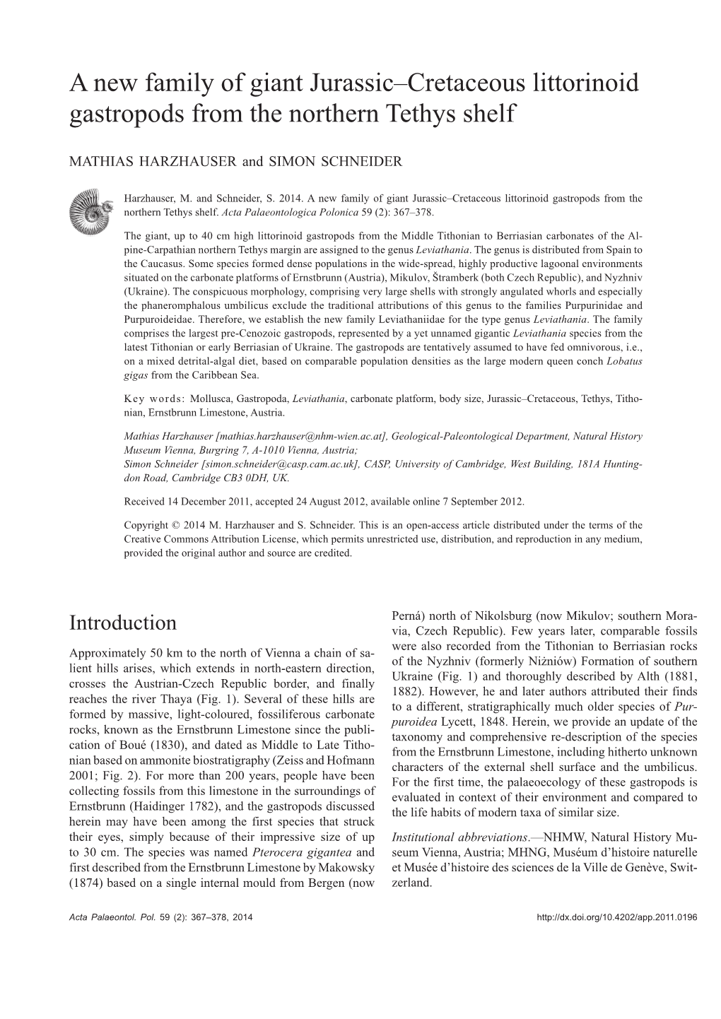 A New Family of Giant Jurassic–Cretaceous Littorinoid Gastropods from the Northern Tethys Shelf