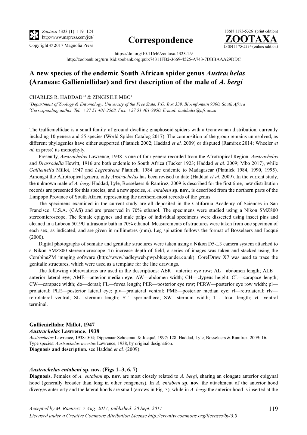 A New Species of the Endemic South African Spider Genus Austrachelas (Araneae: Gallieniellidae) and First Description of the Male of A