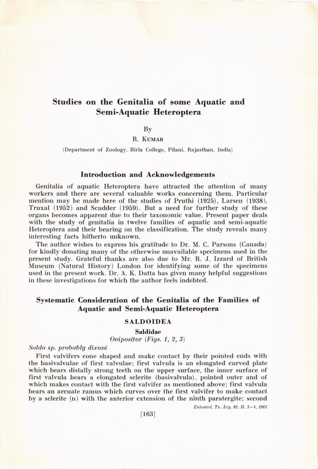 Studies on the Genitalia of Some Aquatic and Semi-Aquatic Heteroptera