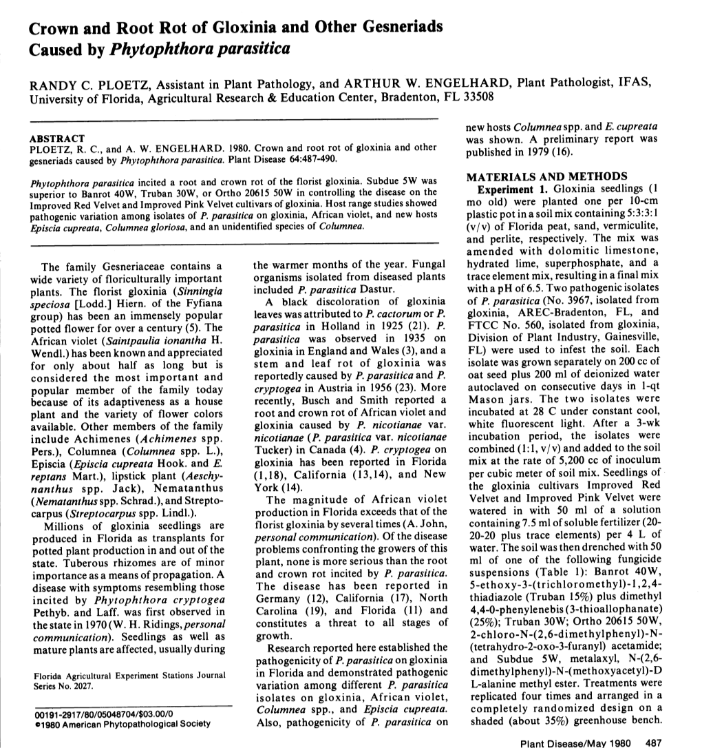 Crown and Root Rot of Gloxinia and Other Gesneriads Caused by Phytophthora Parasitica