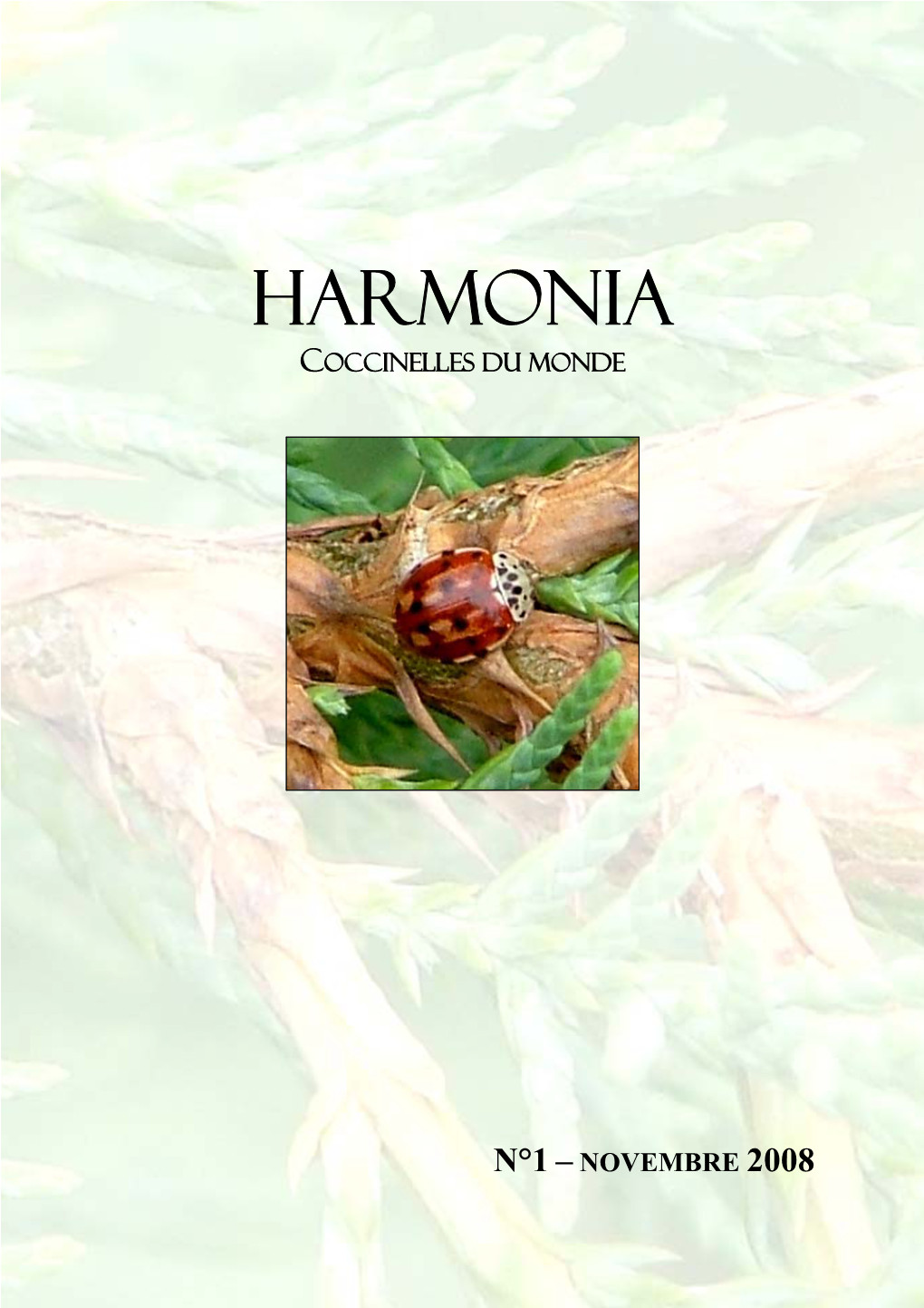 Harmonia Coccinelles Du Monde