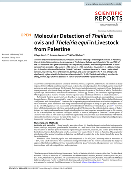 Molecular Detection of Theileria Ovis and Theleiria Equi in Livestock From
