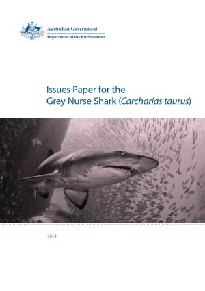 Issues Paper for the Grey Nurse Shark (Carcharias Taurus)