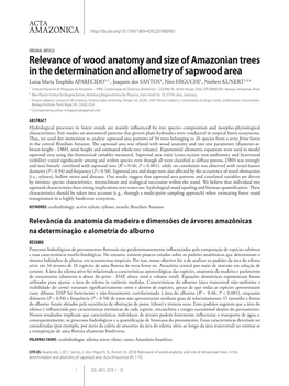 Relevance of Wood Anatomy and Size of Amazonian Trees in The