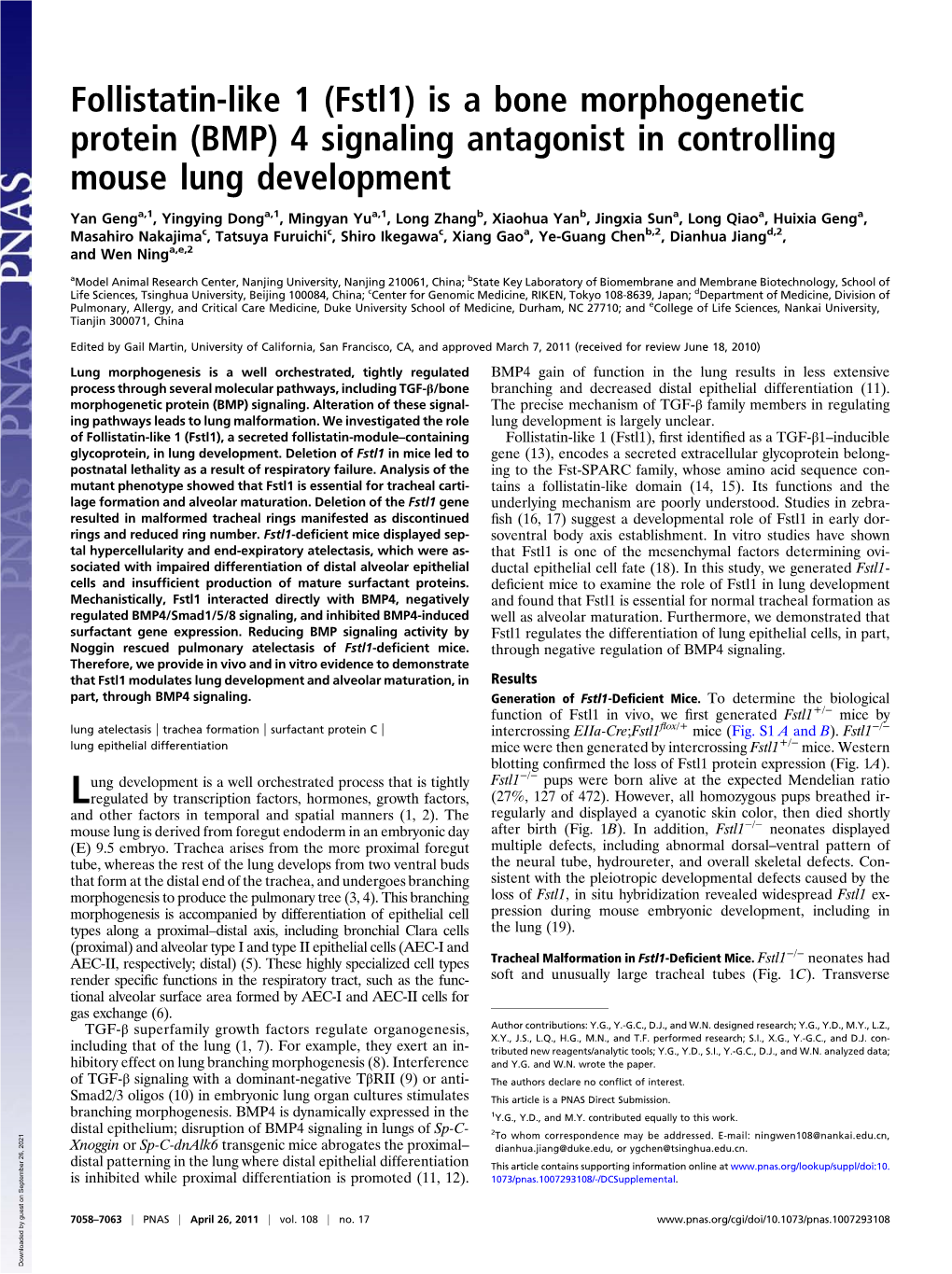 (BMP) 4 Signaling Antagonist in Controlling Mouse Lung Development