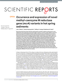 Occurrence and Expression of Novel Methyl-Coenzyme M Reductase Gene