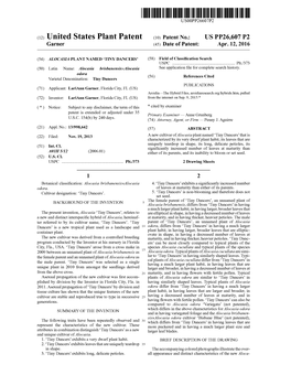 (12) United States Plant Patent (10) Patent No.: US PP26,607 P2 Garner (45) Date of Patent: Apr