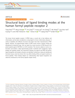 Structural Basis of Ligand Binding Modes at the Human Formyl Peptide Receptor 2