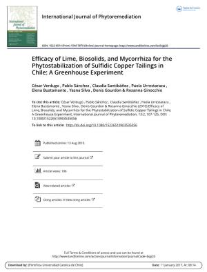 Efficacy of Lime, Biosolids, and Mycorrhiza for the Phytostabilization of Sulfidic Copper Tailings in Chile: a Greenhouse Experiment