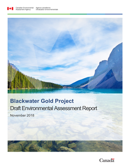 Blackwater Gold Project Draft Environmental Assessment Report November 2018
