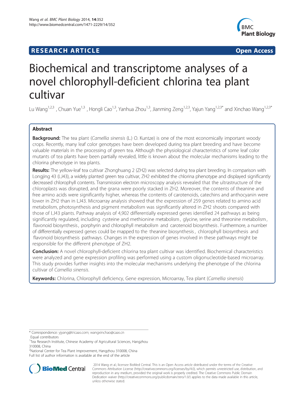 Biochemical and Transcriptome Analyses of a Novel Chlorophyll