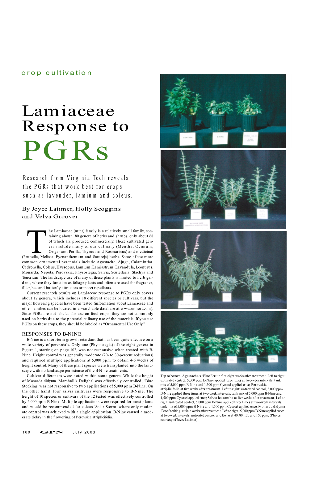 Lamiaceae Response to Pgrs
