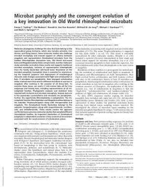 Microbat Paraphyly and the Convergent Evolution of a Key Innovation in Old World Rhinolophoid Microbats