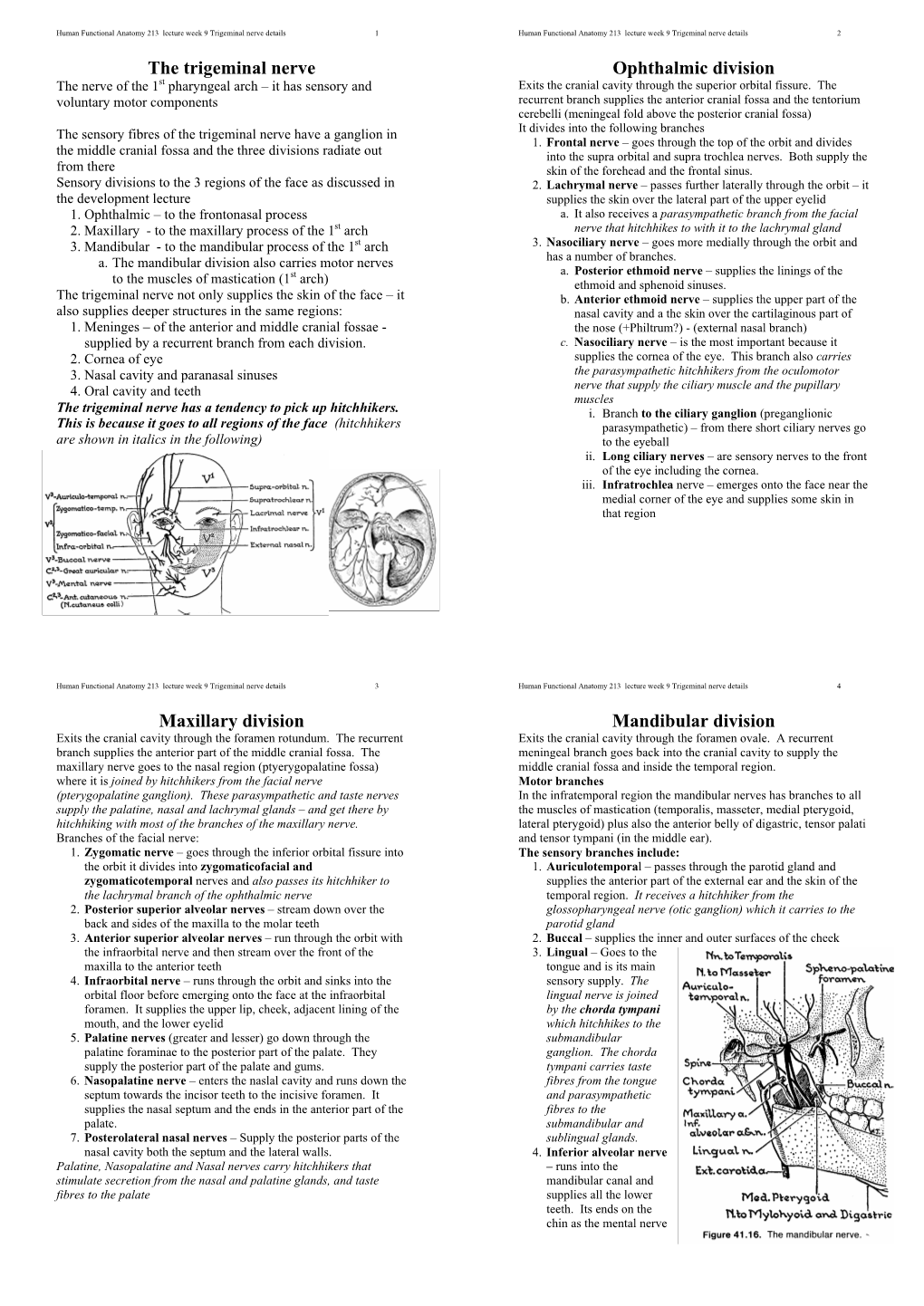 The Trigeminal Nerve Ophthalmic Division Maxillary Division - DocsLib