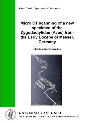 Micro CT Scanning of a New Specimen of the Zygodactylidae (Aves) from the Early Eocene of Messel, Germany