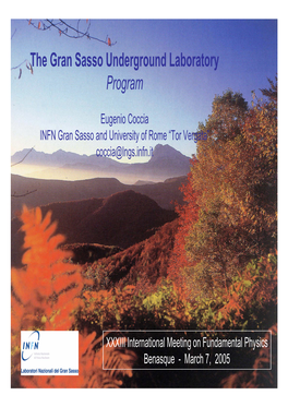 The Gran Sasso Underground Laboratory Program