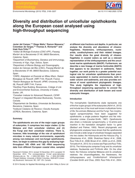 Diversity and Distribution of Unicellular Opisthokonts Along the European Coast Analysed Using High-Throughput Sequencing