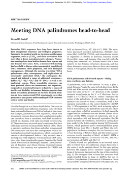 Meeting DNA Palindromes Head-To-Head