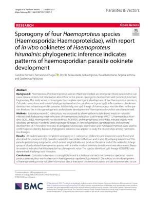 (Haemosporida: Haemoproteidae), with Report of in Vitro Ookinetes of Haemoproteus Hirundi