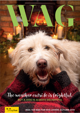 The Weather Outside Is Frightful, but a DOG IS ALWAYS DELIGHTFUL