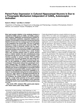 Paired Pulse Depression in Cultured Hippocampal Neurons Is Due to a Presynaptic Mechanism Independent of GABA, Autoreceptor Activation