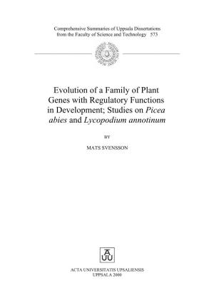 Evolution of a Family of Plant Genes with Regulatory Functions in Development; Studies on Picea Abies and Lycopodium Annotinum