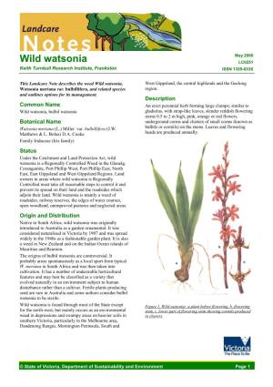 Wild Watsonia (DPI Vic)