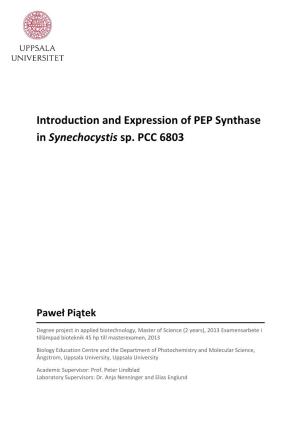 Introduction and Expression of PEP Synthase in Synechocystis Sp. PCC 6803