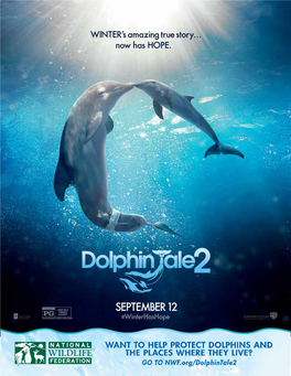 Dolphin Tale 2 Educators Guide.Pdf