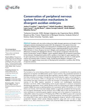 Conservation of Peripheral Nervous System Formation Mechanisms in Divergent Ascidian Embryos