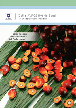 Deli X AVROS Hybrid Seed Oil Palm Breeding in IOI Group the Smarter Choice for Profitability