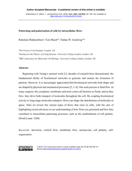 Patterning and Polarization of Cells by Intracellular Flows