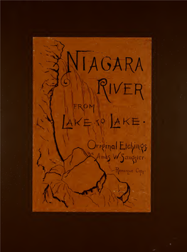 Niagara River and Falls from Lake Erie to Lake Ontario : a Series Of