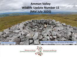 July-2020-Amman-Valley-Wildlife-Newsletter