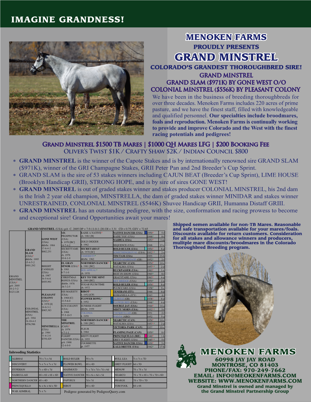 Grand Minstrel