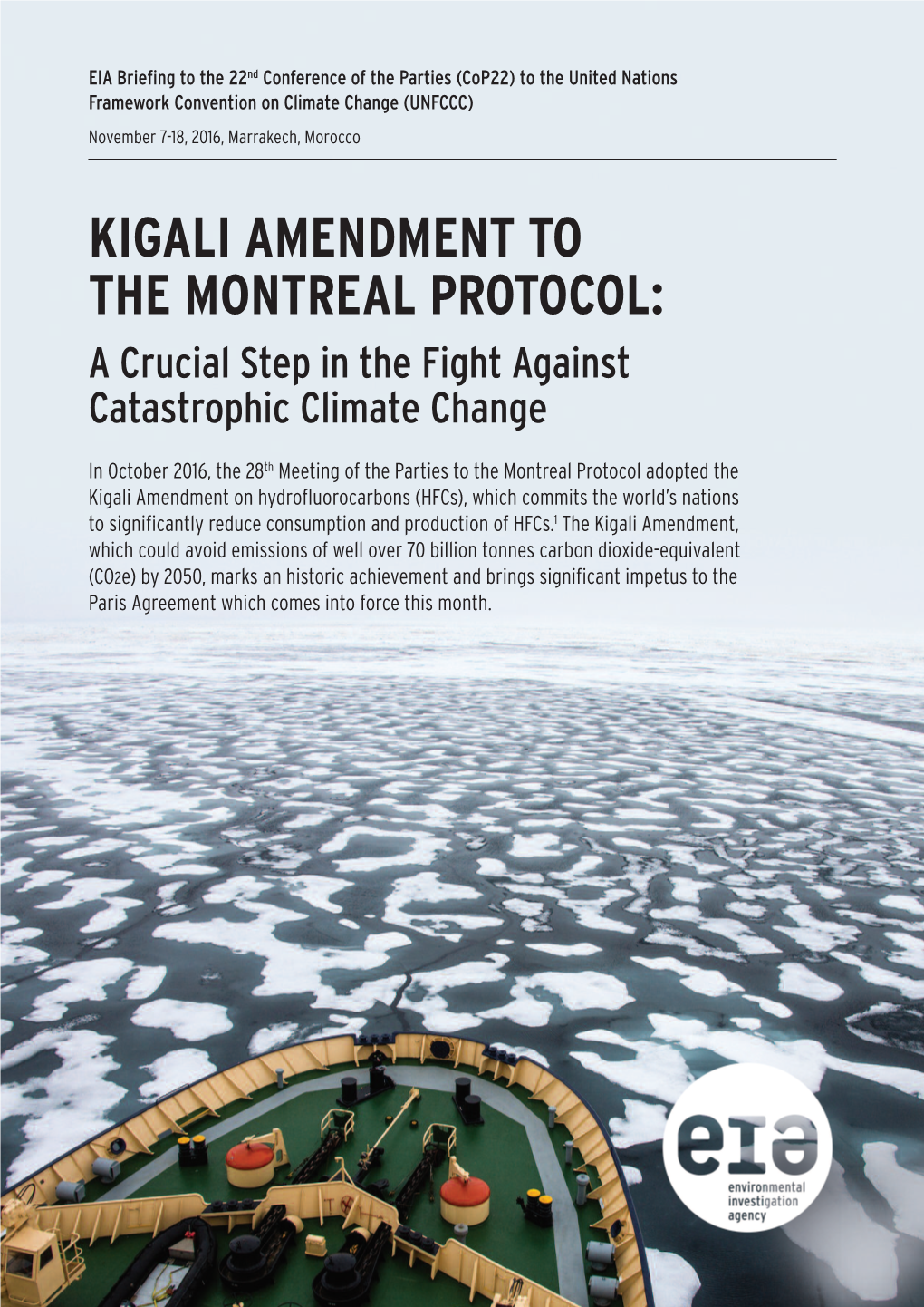 Kigali Amendment to the Montreal Protocol: a Crucial Step in the Fight Against Catastrophic Climate Change