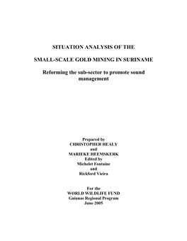 Situation Analysis of the Small-Scale Gold