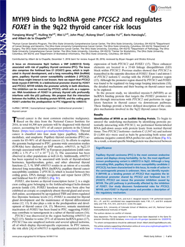 MYH9 Binds to Lncrna Gene PTCSC2 and Regulates FOXE1 in the 9Q22 Thyroid Cancer Risk Locus