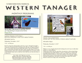 Western Tanager May-June 2015