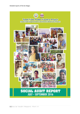 Social Audit Report: Part II