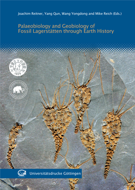 Palaeobiology and Geobiology of Fossil Lagerstätten Through Earth History