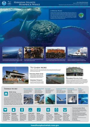 Hawaiian Islands Humpback-Whale National Marine Sanctuary