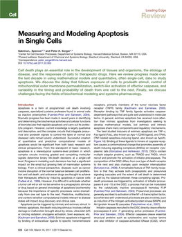 Measuring and Modeling Apoptosis in Single Cells