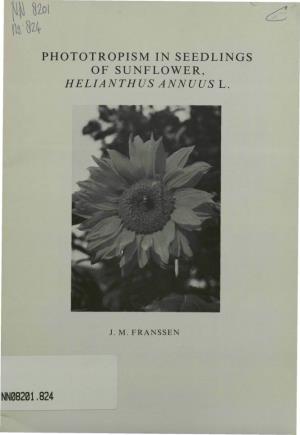 Phototropism in Seedlings of Sunflower, Helianthus Annuus L