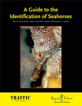 A Guide to the Identification of Seahorses Sara A