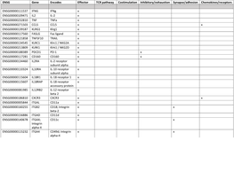 ENSG Gene Encodes Effector TCR Pathway Costimulation Inhibitory/Exhaustion Synapse/Adhesion Chemokines/Receptors