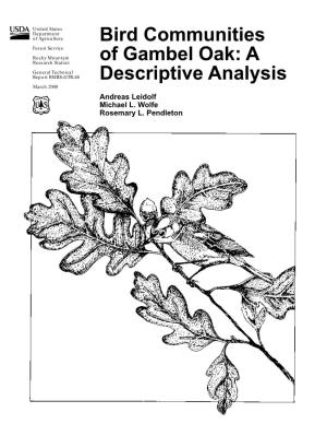 Bird Communities of Gambel Oak: a Descriptive Analysis
