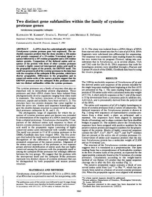 Two Distinct Gene Subfamilies Within the Family of Cysteine Protease Genes (Tetrahymena/Propeptide/Cathepsin) KATHLEEN M